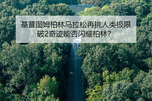 ji-pu-tu-mu-bo-lin-ma-la-song-zai-tiao-ren-lei-ji-xian-po-qi-ji-neng-fou-shan-yao-bo-lin-2-387.jpg